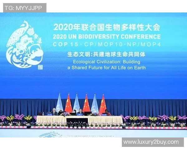 广告监管机构严惩误导性博彩广告案例聚焦脆弱群体保护措施分析